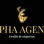 Alpha Agency: inovação e estratégia para impulsionar negócios com marketing apurado